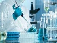 PRÁCTICAS DE LABORATORIO
